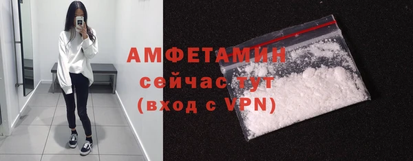 индика Осинники