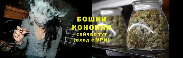 индика Осинники