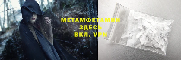 индика Осинники