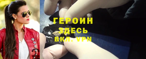 индика Осинники
