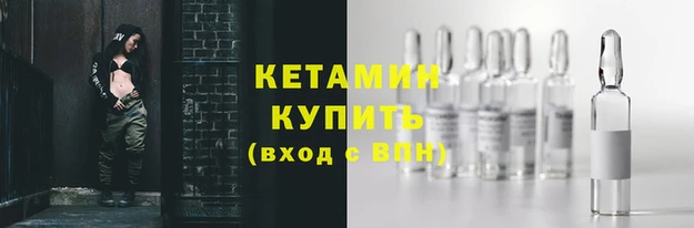 индика Осинники