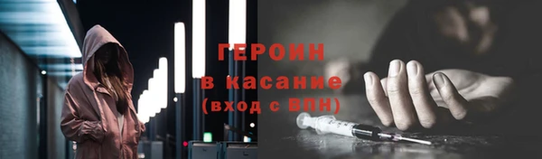 индика Осинники