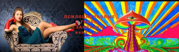 мдпв Остров