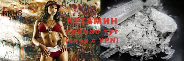 индика Осинники