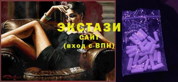 индика Осинники