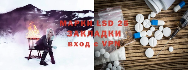 индика Осинники