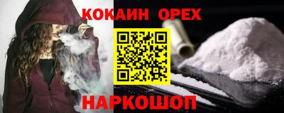 стафф Гатчина