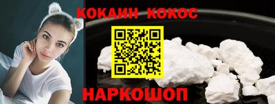 стафф Гатчина