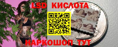 стафф Гатчина