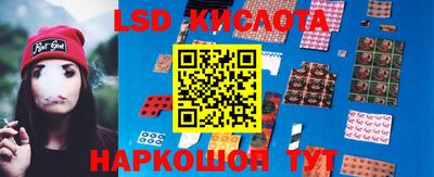 стафф Гатчина