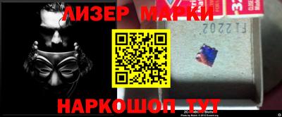 стафф Гатчина
