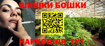 стафф Гатчина