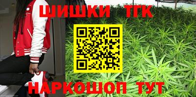 стафф Гатчина