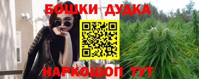 стафф Гатчина
