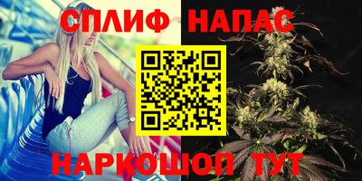 mdpv Гай