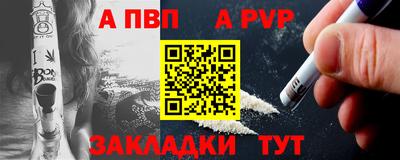 стафф Гатчина